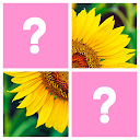 Word Pics: Trivia Puzzles