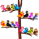 Bird Sort - Puzzle Games