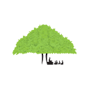 NextGurukul (NextCurriculum)