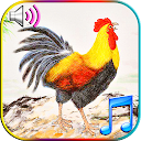 Funny Wake Up Ringtones