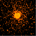 Big Bang Gpu Simulation