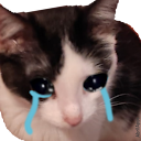 WAStickerApps Stickers Cats