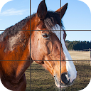 Beautiful Horses Puzzle