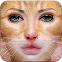 Animal Face Photo Editor
