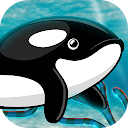 Orca Fish Home Adventure