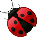 Похудение без диеты - СИТ 30