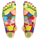 Foot Reflexology Chart