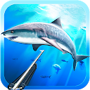 Spearfishing. Marine life.