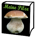 Meine Pilze (Pilzbestimmung)