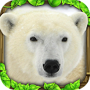 Polar Bear Simulator