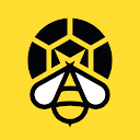 Bee Sports – Live scores