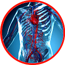 Anatomy - Physiology