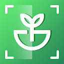 Plant Identifier - Iplant