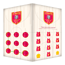 AppLock Theme Basketball