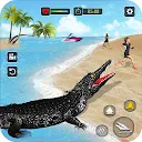 Hungry Animal Crocodile Attack