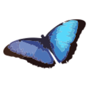 CBT Guide to Depression & Test