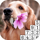 Dogs: Pixel Paint By Number