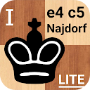 Chess - Najdorf variation