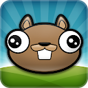 Noogra Nuts - The Squirrel