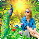 Peacock Photo Frames