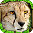 Cheetah Simulator