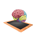 360ed Highschool Biology