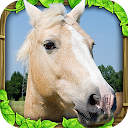 Wild Horse Simulator