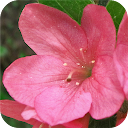 Leśne Arboretum Warmii i Mazur