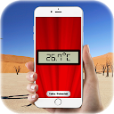 Electronic thermometer