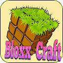 Bloxx Craft Girl