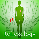 Hand Chart / for Reflexology