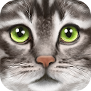 Ultimate Cat Simulator