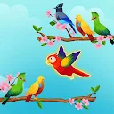 Bird Sort Puzzle: Color Game