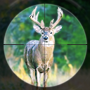 Deer Hunting Games Wild Animal