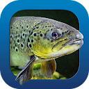 Heintges Angelschein Trainer