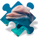 Free Dolphin Jigsaw Puzzles