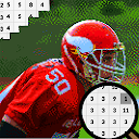 American Football Color Number