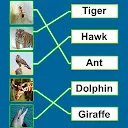 Spelling Match : Learn spellin