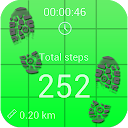Pedometer and step counter