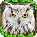 Owl Simulator
