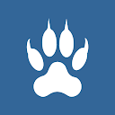 Rysiek antyradar, kamera