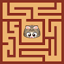 Maze Cat - Rookie