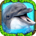 Dolphin Simulator