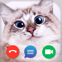 Cat Video Call & Chat Prank