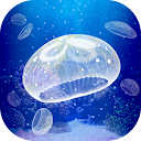 Jellyfish Pet