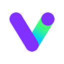 Visual Money Manager