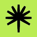 Palmstreet - Live shopping