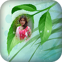 Leaf Photo Frames - leaf pic e