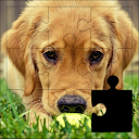 Beautiful Dogs Puzzles Toddler