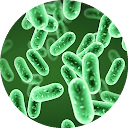 Microbiology Handbook